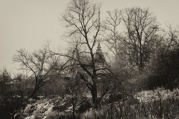 Retro sepia style landscape, a small forest
