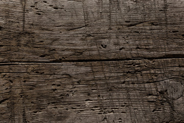 A very old shabby and battered wooden background with deep cuts from a knife and traces of blows from an ax. Damaged tree by insects. A wooden board lying under the sun, snow, rain and wind. 