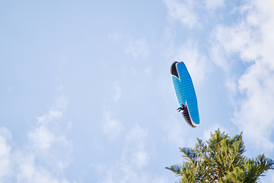 Paraplane on the blue sky background, leisure activity.
