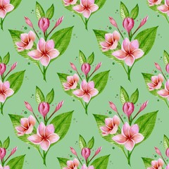 PATTERN WITH PINK PLUMERIA
