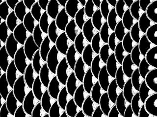 Fish scale pattern drawn with pool black backgrounds. white color of line. © Kiattisak-TK