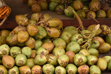Fresh raw yellow and green coconuts fruits,placed in a stand for selling on the road side. The green coconut is a very popular fruit drink in India during hot seasons.