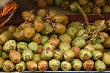 Fresh raw yellow and green coconuts fruits,placed in a stand for selling on the road side. The green coconut is a very popular fruit drink in India during hot seasons.