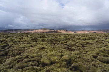 Lava moss field in South iceland © Danny Wanders