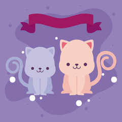 Cute cats cartoons vector design