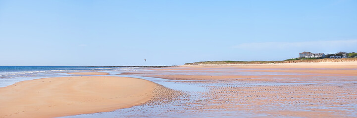 Brora beach with the tide full out on a cloudless sunny day with a lone seagull flying along the shore