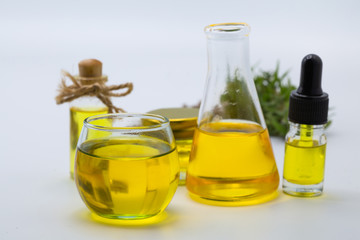 CBD hemp oil  products,  Cannabis oil against Marijuana plant. Herbal Treatment, Alternative Medicine