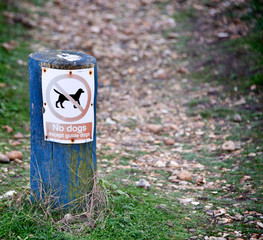 no dogs allowed sign on blue wooden post