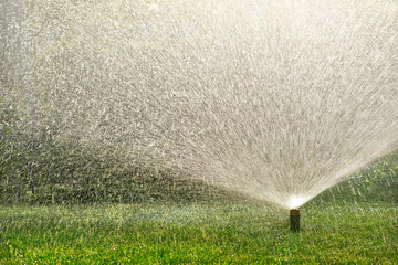 Water spraying from a lawn sprinkler on a sunny summer day.