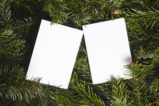 Christmas Tree Branches Lay Flat Background With Blank White Card