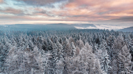 Sunrise Over Snowy Pine Trees. Beautiful Sky and Clouds. Aerial Drone View