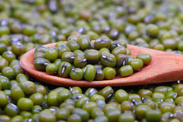 many mung beans were stacked together