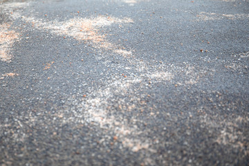 Salt spilled on the pavement. Winter season