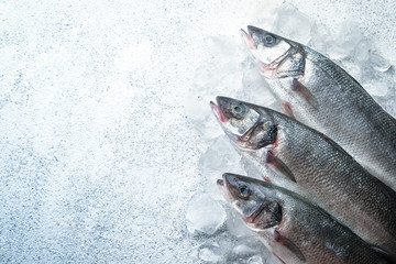 Fresh seabass fish on ice on white stone background, top view with copy space