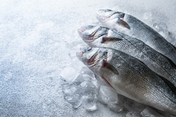 Fresh seabass fish on ice on white stone background, top view with copy space
