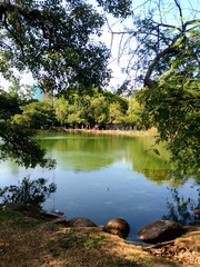 Lake in the park. Porto Alegre, RS, Brazil.