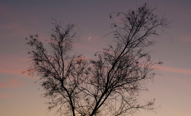 Luna moruna (con un día y medio de vida) al atardecer, cielo impresionante, regalo para los sentidos