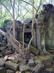 Beng Mealea ancient temple ruines in the middle of jungle forest in Sieam Ream, Cambodia