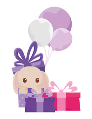 Cute elephant cartoon inside gift vector design