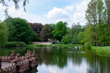 An overview of a lake overground with trees around it