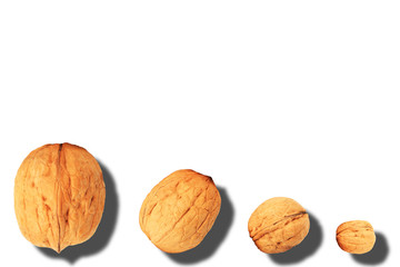 walnuts with shadow isolated on white background