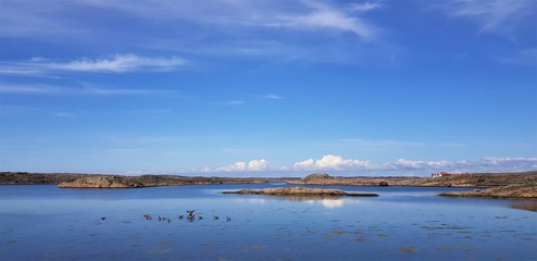view of the beach with blue sky and clouds
