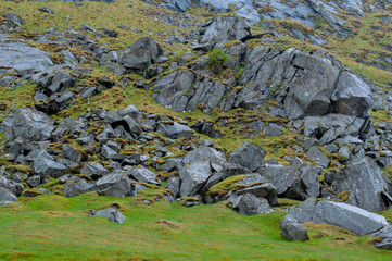 Stones on a mountain side overgrown by moss