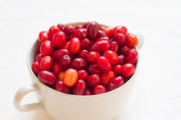 Dogwood is a sweet and sour red fruit. medicinal plant. ripe vitamin berries. Dogwood on a wooden white background in a white plate with space for text. The concept of a healthy lifestyle. gardening