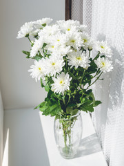 Bouquet of white chrysanthemum flowers in glass vase on window sill. Sunlight and geometrical shadows. Symbol of fragility and lightness.