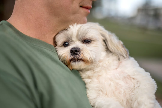 Man Holding Small Cute White Dog On A Chest