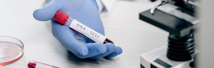 Obraz premium panoramic shot of genetic consultant holding test tube with dna test