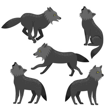 Set of wolves isolated on a white background. Vector graphics.