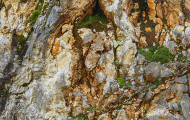 green moss on the rock, perfect background