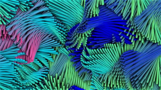 モップ モッズ モナカも好きモズク