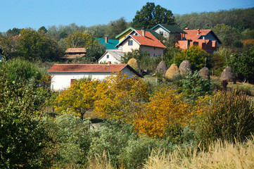 Fototapeta na wymiar house in village