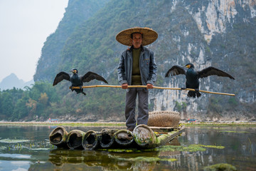 A fisherman hold a stick which with two cormorants standing on each end