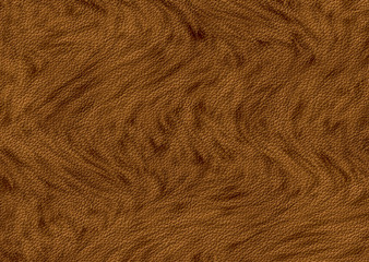 fur texture