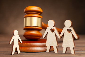 Child in same-sex family. Adoption or sugrate motherhood in a lesbian family parental rights. Two...