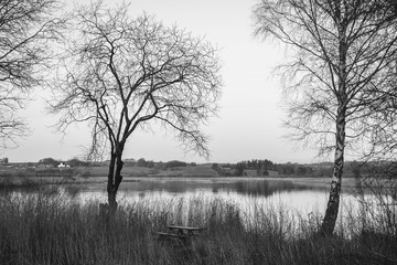 Fototapeta premium nature