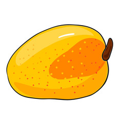 Fresh orange mango. Vector illustation isolated on white background.