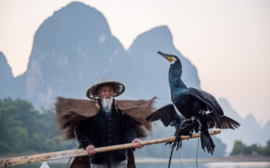 An old fisherman train his cormorants to catch fishes