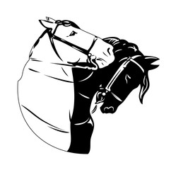 A pair of horses, black and white, vector graphics