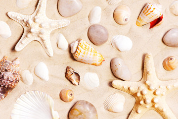 Fototapeta na wymiar Various seashells and stones on the sand, travel summer pattern