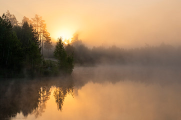 Fototapeta na wymiar Misty morning on the lake.