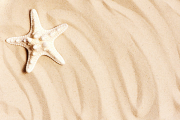 Fototapeta na wymiar Sand and starfish, travel summer background