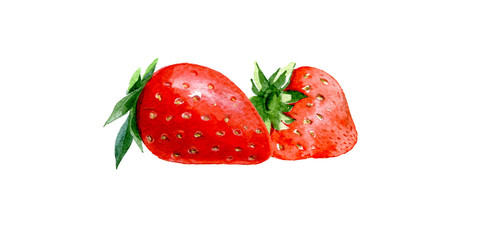 Hand drawn watercolor painting strawberry on white background