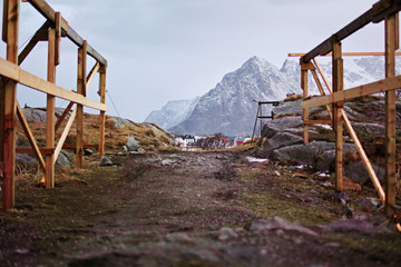 Fototapeta na wymiar Cod fish drying wood constructions with village and snowy mountain horizon. Henningsvaer, Lofoten Norway.