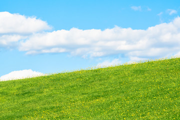 Field or the hillside with grass and flowers on a background of blue sky with the clouds