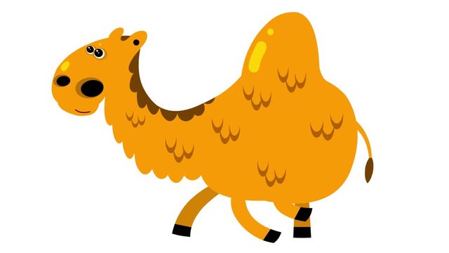 Cartoon dromedary camel flat design children animation walking cycle. Alpha channel included. Cute 2d hand made African yellow brown animal character animation good for any use. 