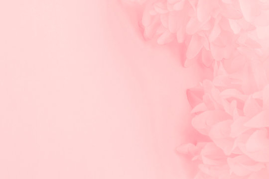Pink Flower Background Images – Browse 4,348,530 Stock Photos, Vectors, and  Video | Adobe Stock